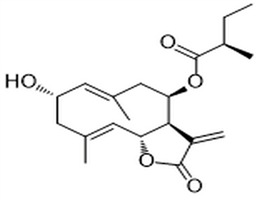 2α-Hydroxy-8β-(2-methylbutyryloxy)costunolide