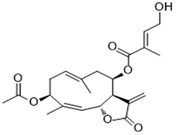 Chromolaenide