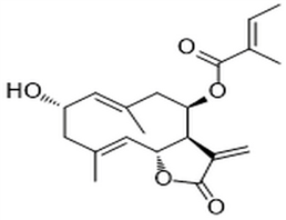 Mollisorin A