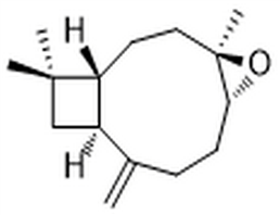 Caryophyllene oxide,Caryophyllene oxide