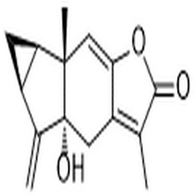 5α-Hydroxychloranthalactone A,5α-Hydroxychloranthalactone A