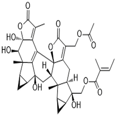 Sarcandrolide D,Sarcandrolide D