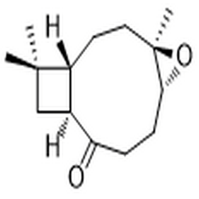 Kobusone,Kobusone