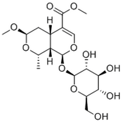 7β-O-Methylmorroniside,7β-O-Methylmorroniside