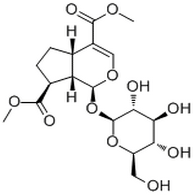 Forsythide dimethyl ester,Forsythide dimethyl ester