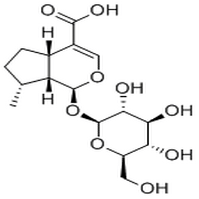 8-Epideoxyloganic acid,8-Epideoxyloganic acid
