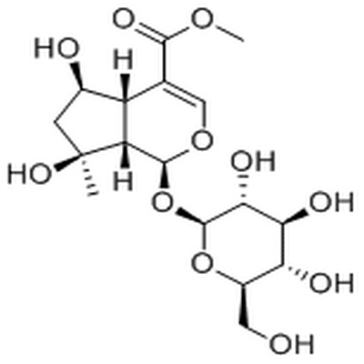 Shanzhiside methyl ester,Shanzhiside methyl ester