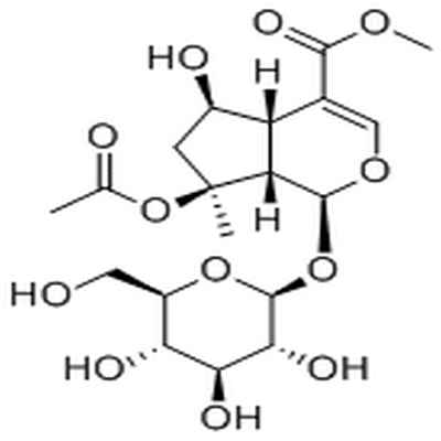 8-O-Acetylshanzhiside methyl ester,8-O-Acetylshanzhiside methyl ester