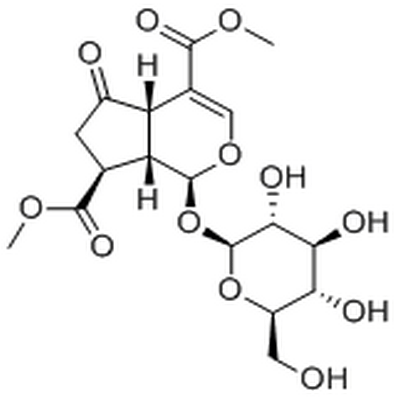 Griselinoside,Griselinoside