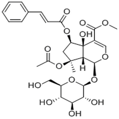 6-O-trans-Cinnamoylphlorigidoside B,6-O-trans-Cinnamoylphlorigidoside B