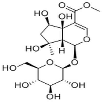 6β-Hydroxyipolamiide,6β-Hydroxyipolamiide