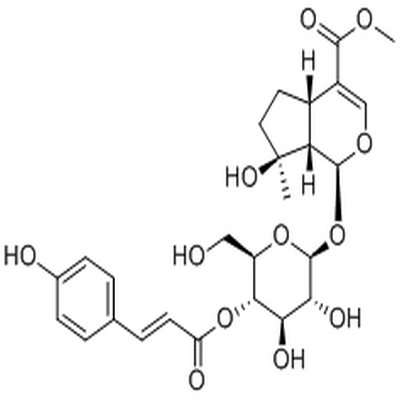 4'-O-trans-p-Coumaroylmussaenoside,4'-O-trans-p-Coumaroylmussaenoside