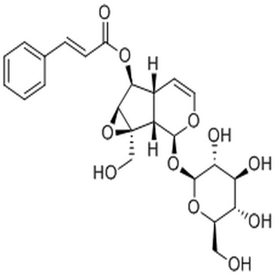 6-O-Cinnamoylcatalpol,6-O-Cinnamoylcatalpol