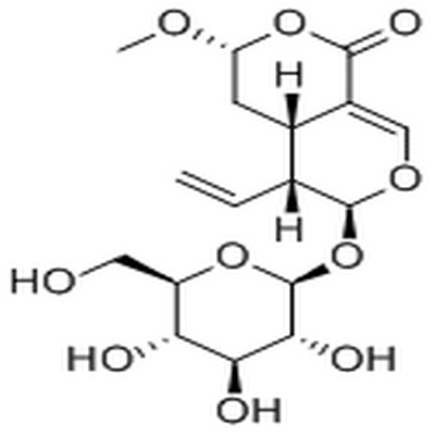 Vogeloside,Vogeloside