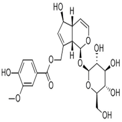 10-O-Vanilloylaucubin,10-O-Vanilloylaucubin