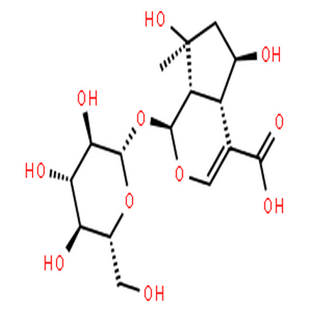 山梔苷,Cyclopenta[c]pyran-4-carboxylicacid, 1-(b-D-glucopyranosyloxy)-1,4a,5,6,7,7a-hexahydro-5,7-dihydroxy-7-methyl-,(1S,4aS,5R,7S,7aS)-