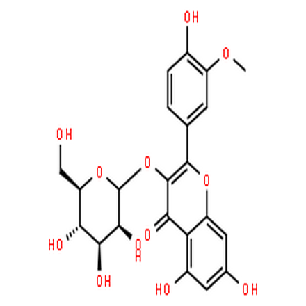 异鼠李素 3-O-半乳糖苷,Isorhamnetin-3-O-galactoside