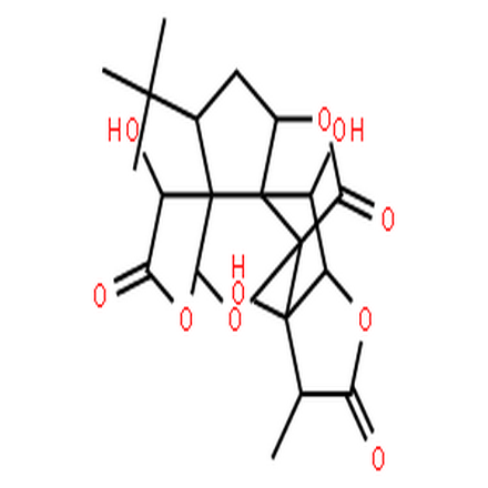 銀杏內(nèi)酯B,ginkgolide B from ginkgo leaves