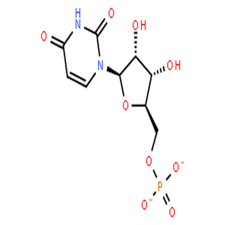 5-尿苷一磷酸二鈉鹽,Uridine 5[-monophosphate, disodium salt