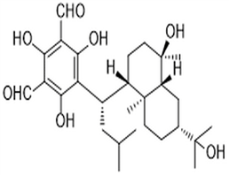 Macrocarpal J