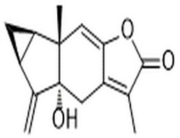 5α-Hydroxychloranthalactone A,5α-Hydroxychloranthalactone A