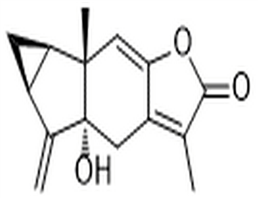 5α-Hydroxychloranthalactone A