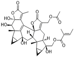 Sarcandrolide D