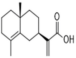 Isocostic acid