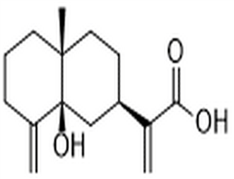 5β-Hydroxycostic acid