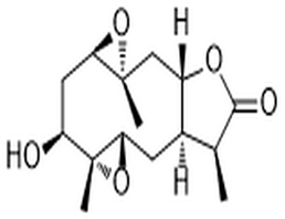 Carabrolactone A