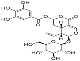 7α-Galloyloxysweroside,7α-Galloyloxysweroside