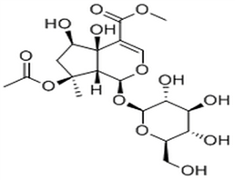 Phlorigidoside B