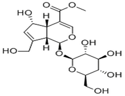 6α-Hydroxygeniposide