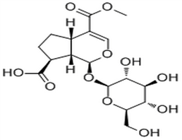 11-Methylforsythide