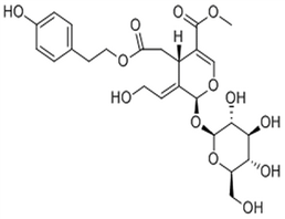 10-Hydroxyligstroside