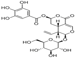 7β-Galloyloxysweroside