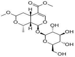 7-O-Methylmorroniside