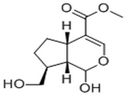 7-Deoxy-10-hydroxyloganetin