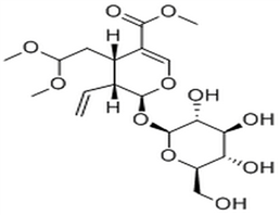 Secologanin dimethyl acetal,Secologanin dimethyl acetal