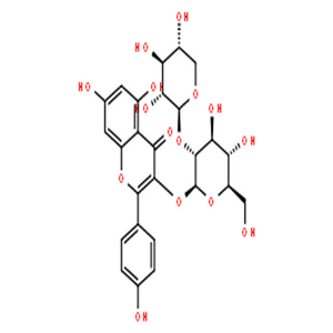 山奈酚3-O-桑布双糖苷