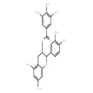 儿茶素没食子酸,(2S,3R)-2-(3,4-Dihydroxyphenyl)-5,7-dihydroxychroman-3-yl 3,4,5-trihydroxybenzoate