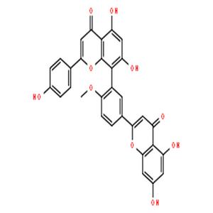 白果双黄酮,5,7-Dihydroxy-8-[2-methoxy-5-(5,7-dihydroxy-4-oxo-4H-1-benzopyran-2-yl)phenyl]-2-(4-hydroxyphenyl)-4H-1-benzopyran-4-one