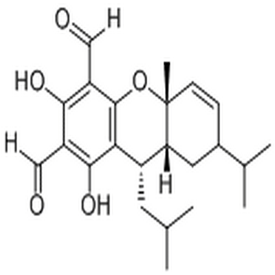 Euglobal Ia2,Euglobal Ia2