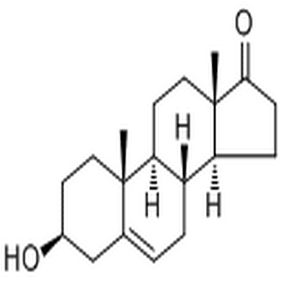 Dehydroepiandrosterone,Dehydroepiandrosterone