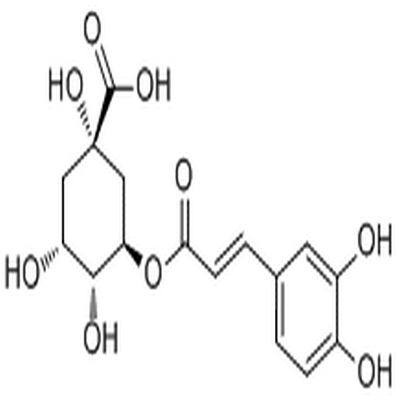Chlorogenic acid,Chlorogenic acid