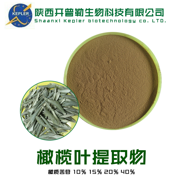 橄榄叶提取物,Olive Leaf Extract