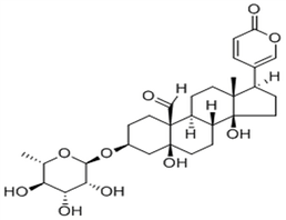 Desglucohellebrin