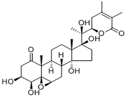 Phyperunolide E