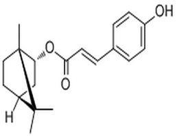 Biondinin C