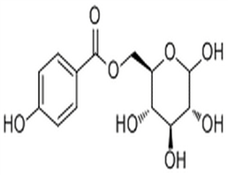 6-O-(p-Hydroxybenzoyl)glucose,6-O-(p-Hydroxybenzoyl)glucose